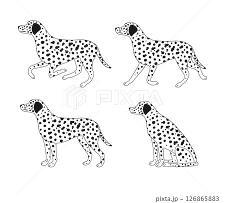 Vector set of flat outline dalmatian dog 126865883
