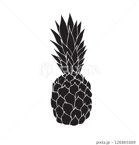 Vector hand drawn sketch doodle pineapple 126865889