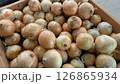 淡路島の新玉ねぎ 126865934