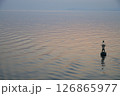 静寂な世界 126865977