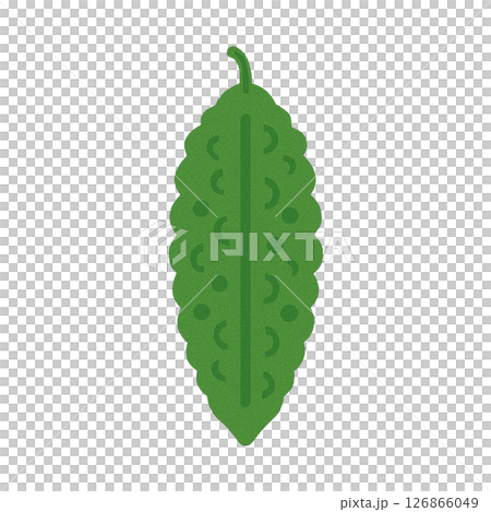 Bitter melon flat illustration 126866049
