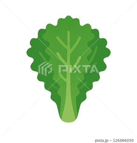 サニーレタスのフラットイラスト 126866050