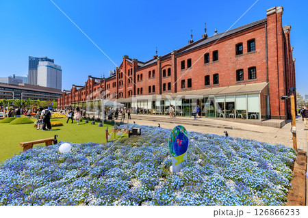 神奈川県　横浜市　横浜赤レンガ倉庫　FLOWER GARDEN 2025 126866233