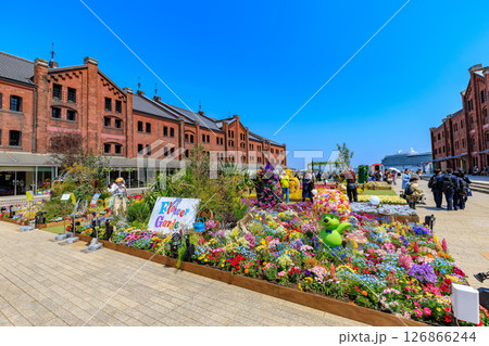 神奈川県 横浜市 横浜赤レンガ倉庫 FLOWER GARDEN 2025 神奈川県 横浜市 横浜赤レンガ倉庫 FLOWER GARDEN 2025 126866244