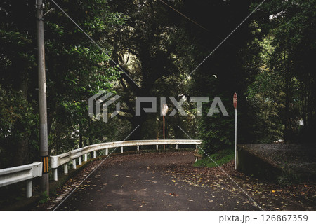 静けさに包まれた山道のカーブと古びたカーブミラー 静けさに包まれた山道のカーブと古びたカーブミラー 126867359