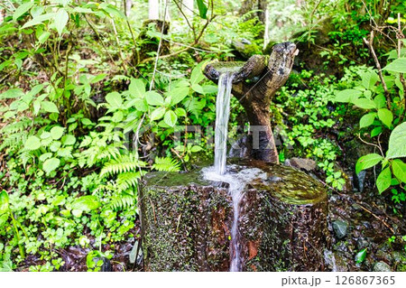 湧き水 126867365