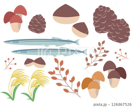 秋の自然と味覚のイラストセット 126867526