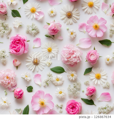 Elegant Flat Lay of Pink & White Flowers on White Background, Floral Wallpape 126867634