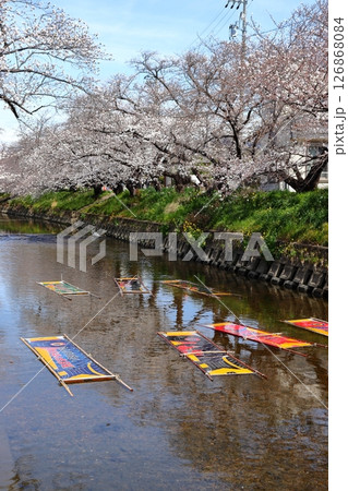 愛知県 五条川の「のんぼり洗い」（岩倉市） 126868084