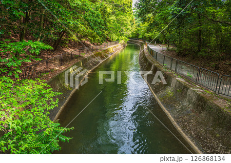 琵琶湖疏水 東山自然緑地 京都市 琵琶湖疏水 東山自然緑地 京都市 126868134