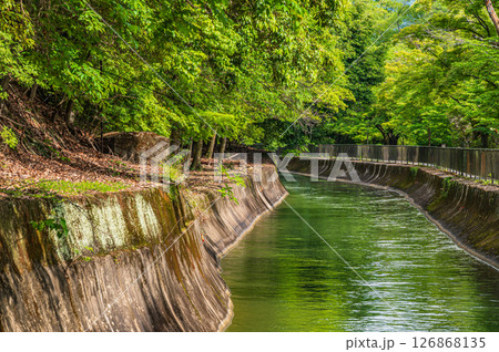 琵琶湖疏水 東山自然緑地 京都市 琵琶湖疏水 東山自然緑地 京都市 126868135
