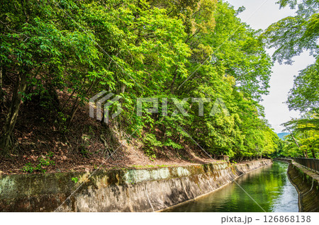 琵琶湖疏水　東山自然緑地　京都市 126868138
