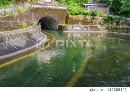 琵琶湖疏水　諸羽トンネル出口　京都市 126868145