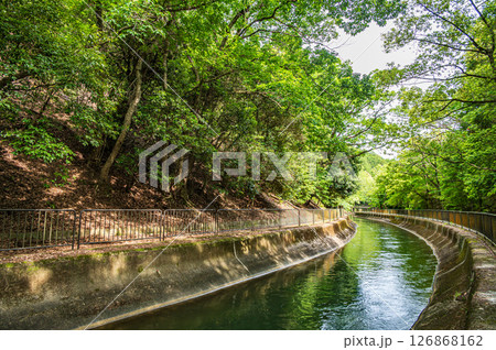 琵琶湖疏水　東山自然緑地　京都市 126868162