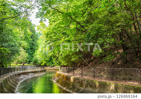 琵琶湖疏水 東山自然緑地 京都市 琵琶湖疏水 東山自然緑地 京都市 126868164