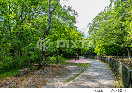 琵琶湖疏水　　京都市 126868170