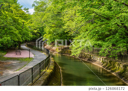 琵琶湖疏水　京都市 126868172