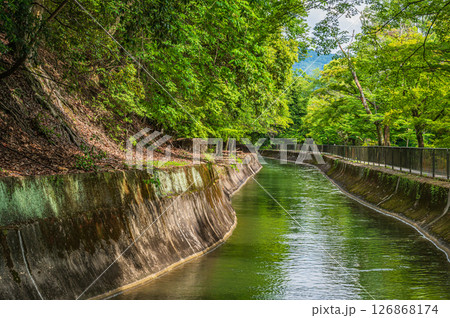 琵琶湖疏水　東山自然緑地　京都市 126868174