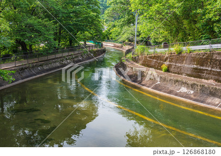 琵琶湖疏水　諸羽トンネル出口付近の風景　アオサギ　京都市 126868180