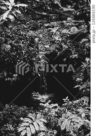 小さな水落イメージ 小さな水落イメージ 126868190