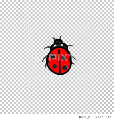 Simple ladybug insect 126868237