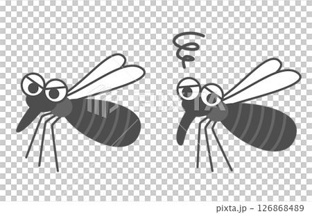 mosquito mosquito 126868489