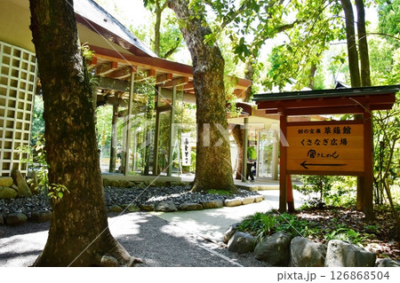 名古屋市　熱田神宮のくさなぎ広場入口と案内板と新緑 126868504