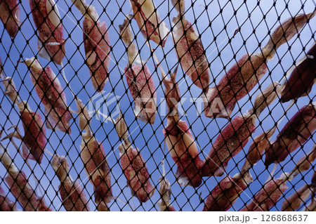 drying squid on the net 126868637