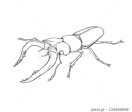 クワガタムシのリアルな線画イラスト 126868698