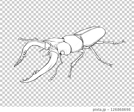 クワガタムシのリアルな線画イラスト 126868698