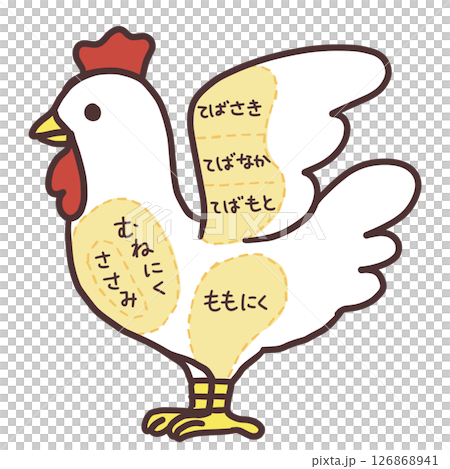 鶏肉部位のイラスト 鶏肉部位のイラスト 126868941