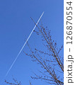 冬の青空に伸びる木の枝と飛行機雲 126870554