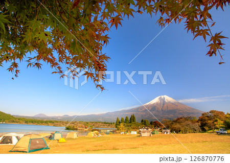 秋のキャンプ場のイメージ　紅葉の田貫湖キャンプ場から望む富士山 126870776