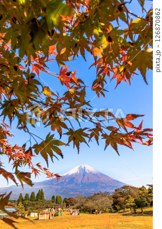 秋のキャンプ場のイメージ 紅葉の田貫湖キャンプ場から望む富士山 秋のキャンプ場のイメージ 紅葉の田貫湖キャンプ場から望む富士山 126870862