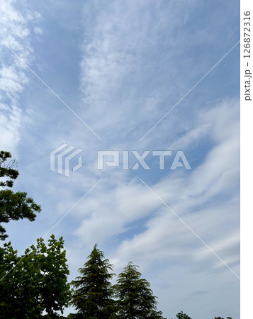 青い空 白い雲 生い茂る樹 青い空 白い雲 生い茂る樹 126872316