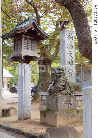 【日本】千葉県船橋の神道神社の灯篭と狛犬と街路樹 126872756