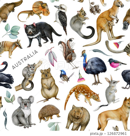 Australian birds, animals with floral elements seamless pattern. Hand drawn koala, kangaroo, dingo dog, quokka, platypus, kookaburra on white background. Australia fauna pattern for fabric printing Australian birds, animals with floral elements seamless pattern. Hand drawn koala, kangaroo, dingo dog, quokka, platypus, kookaburra on white background. Australia fauna pattern for fabric printing 126872961