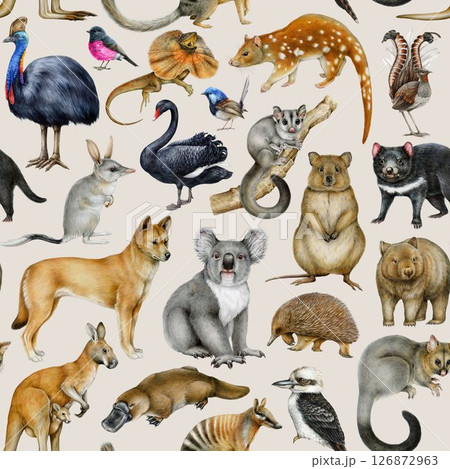 Australian fauna seamless pattern design element. Hand drawn vintage style koala, kangaroo, dingo, wombat, sugar glider, platypus, kookaburra on sandy ground. Australia birds and animals pattern 126872963