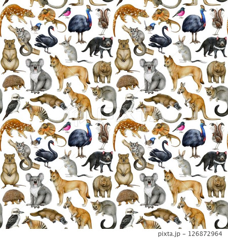 Australian birds and animals seamless pattern element. Hand drawn koala, kangaroo, dingo, wombat, sugar glider, platypus, kookaburra on white background. Australia fauna pattern on white background 126872964