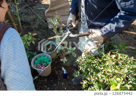 庭師の大鋏の樹液汚れ 庭師の大鋏の樹液汚れ 126873442