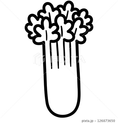 Celery  126873650