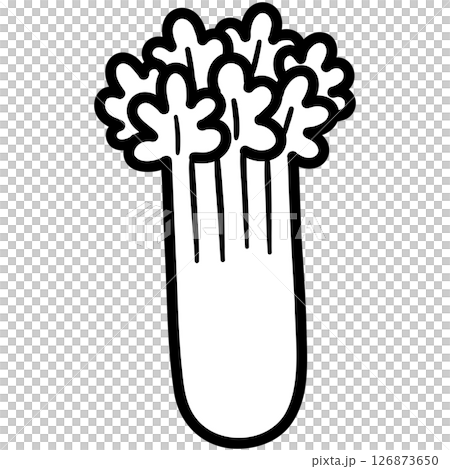 Celery  126873650