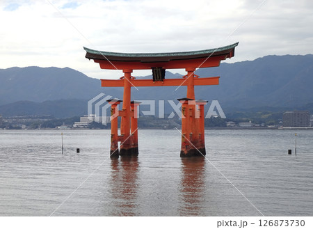 海上に立つ大鳥居 126873730
