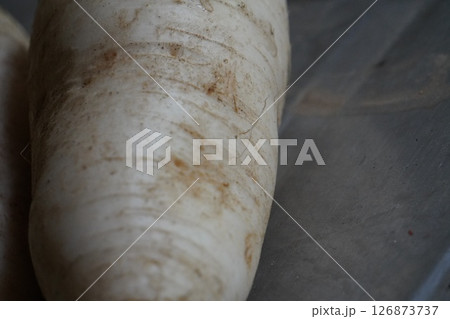 とりたての大根 126873737