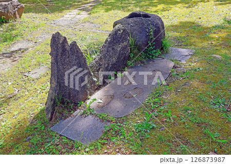五智国分寺（上越） 126873987