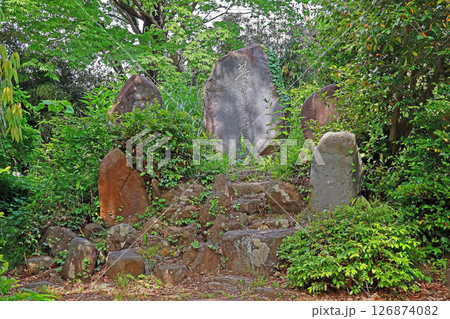 五智国分寺（上越） 126874082