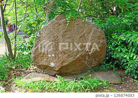 五智国分寺（上越） 126874083
