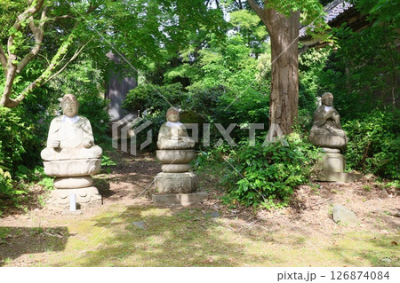 五智国分寺(上越) 五智国分寺(上越) 126874084