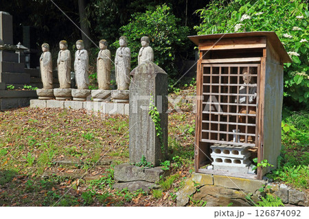 五智国分寺(上越) 五智国分寺(上越) 126874092