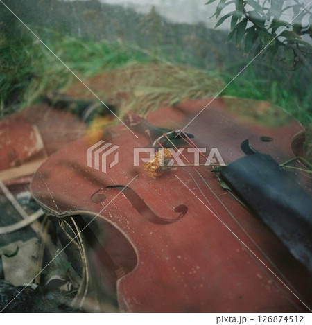 庭の片隅に置かれたバイオリン 126874512